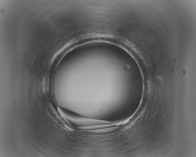 X0000084051165200702161459