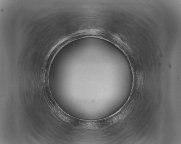 X0000084051166200702161459