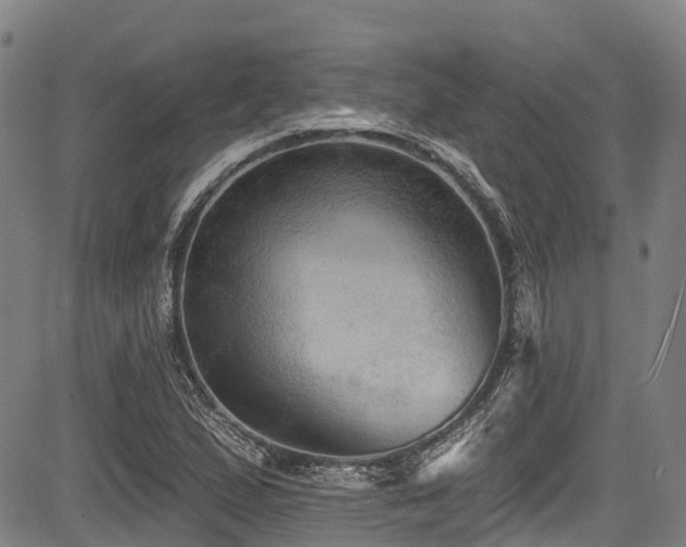 X0000084051167200702161459