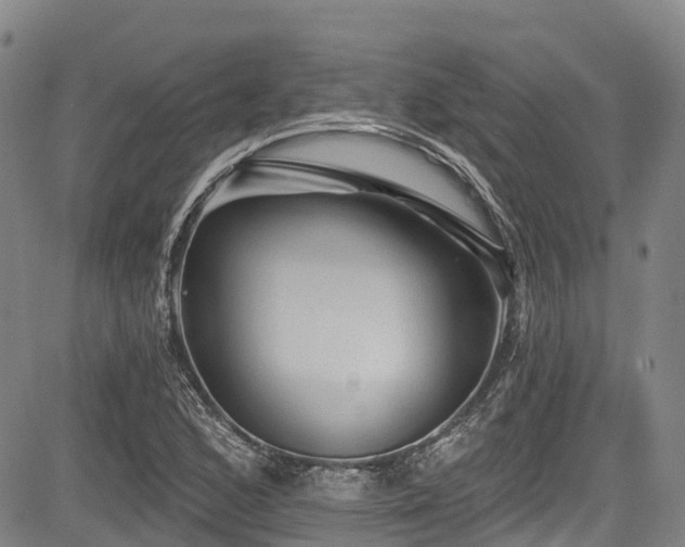 X0000084051168200702161459