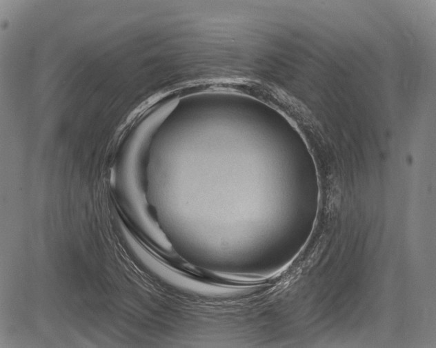 X0000084051169200702161459