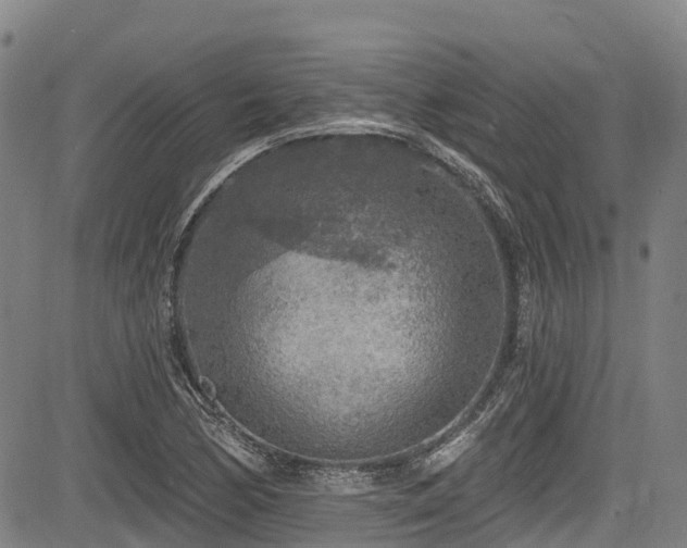 X0000084051170200702161459