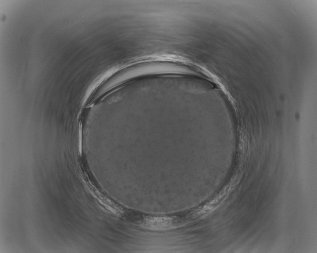 X0000084051171200702161459