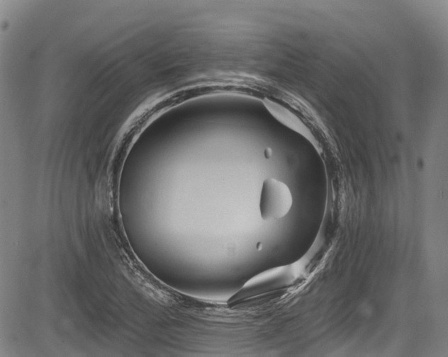 X0000084051172200702161459