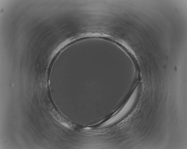 X0000084051173200702161459