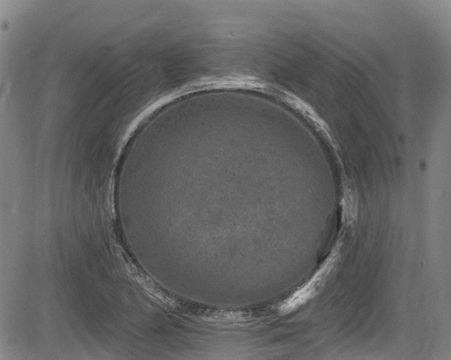 X0000084051174200702161459