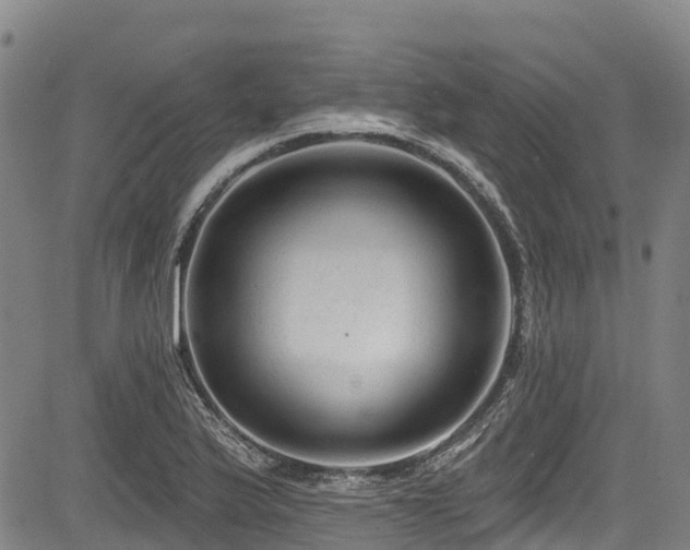 X0000084051175200702161459