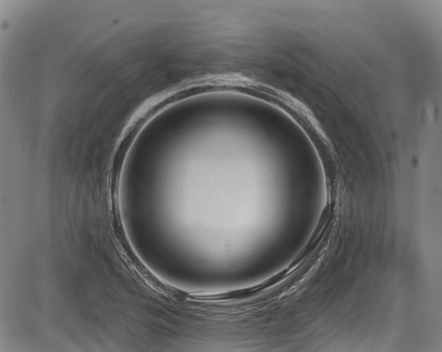 X0000084051176200702161459