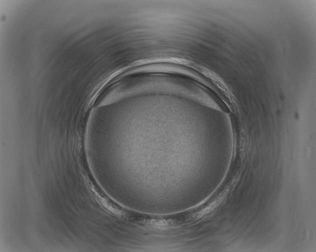 X0000084051177200702161459