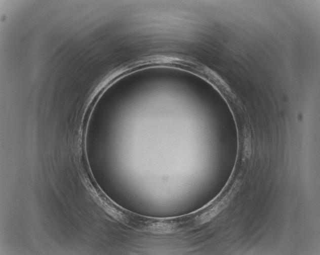 X0000084051178200702161459