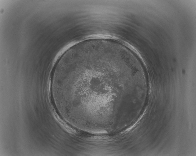 X0000084051179200702161459