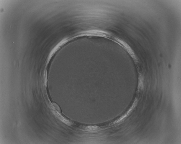 X0000084051180200702161459