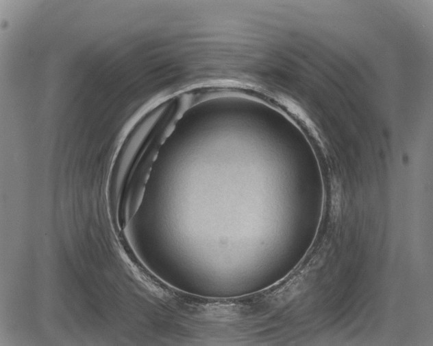 X0000084051181200702161459