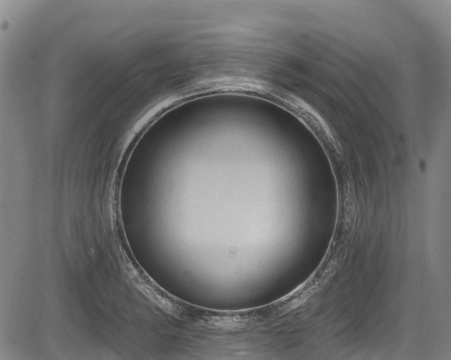 X0000084051182200702161459