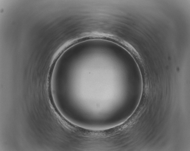 X0000084051183200702161459