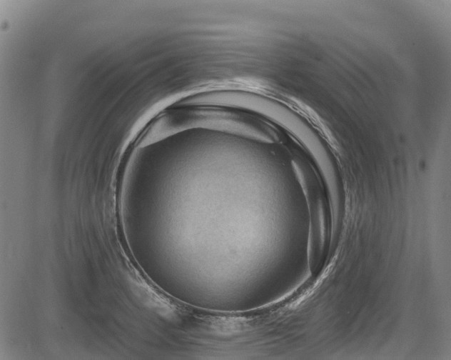 X0000084051184200702161459