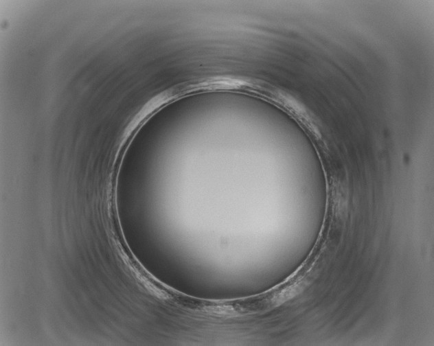 X0000084051186200702161459