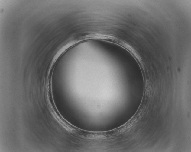 X0000084051187200702161459