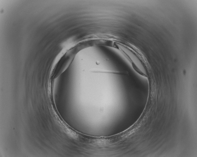 X0000084051188200702161459