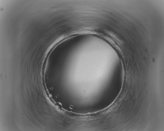 X0000084051189200702161459