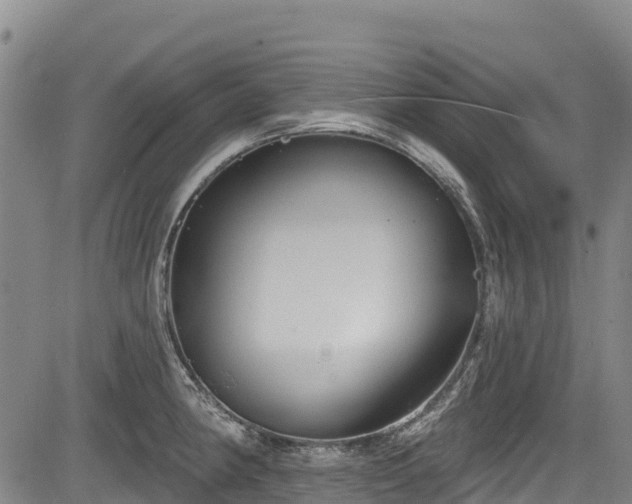 X0000084051190200702161459