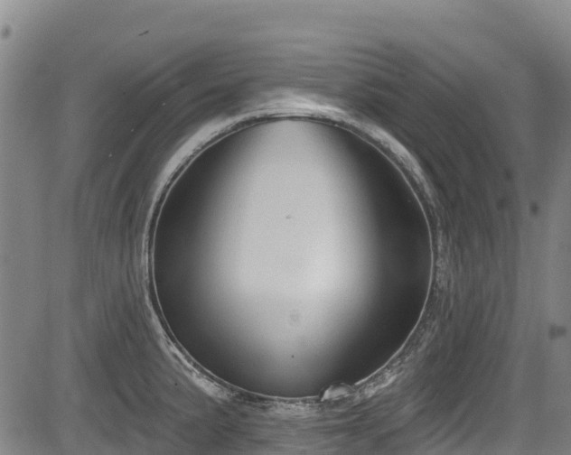 X0000084051191200702161459