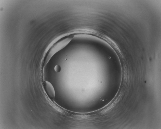 X0000084051192200702161459