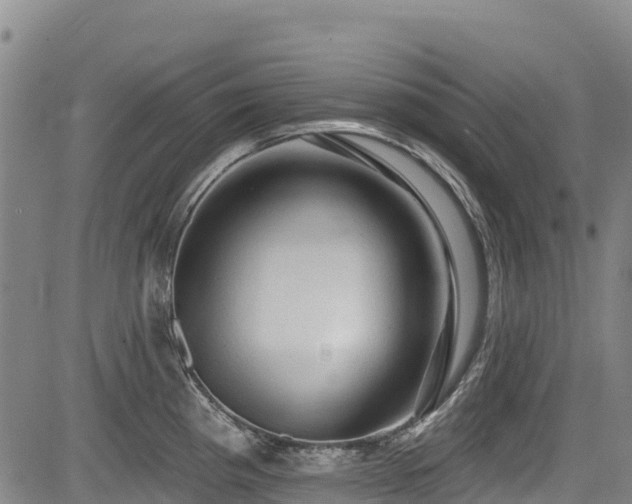 X0000084051193200702161459