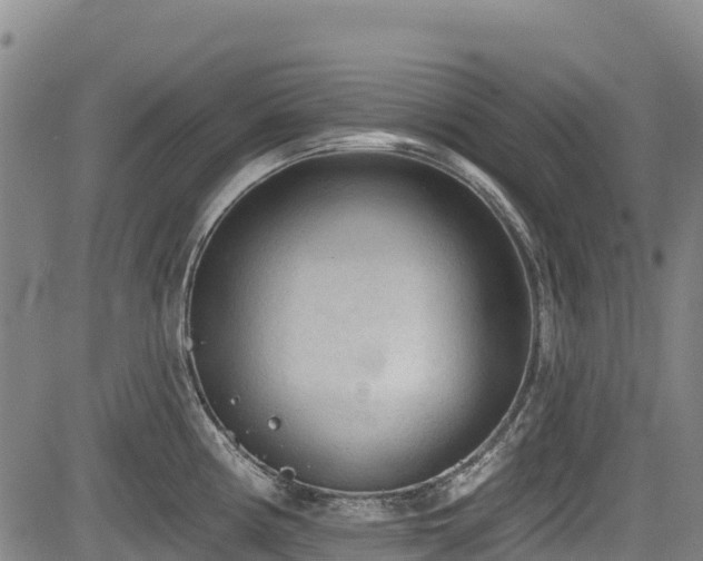 X0000084051194200702161459