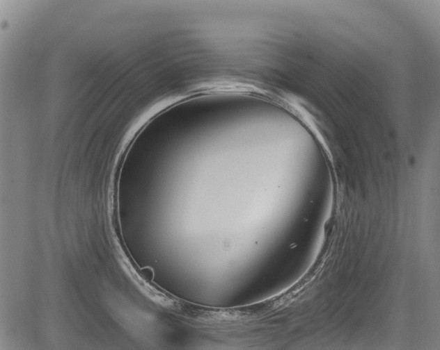 X0000084051195200702161459