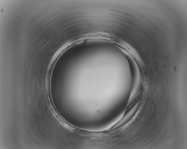 X0000084051196200702161459