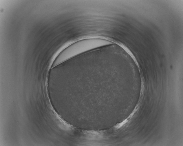 X0000084051197200702161459