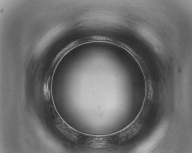 X0000084051198200702161459