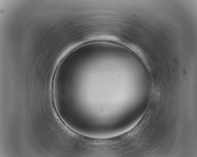 X0000084051199200702161459