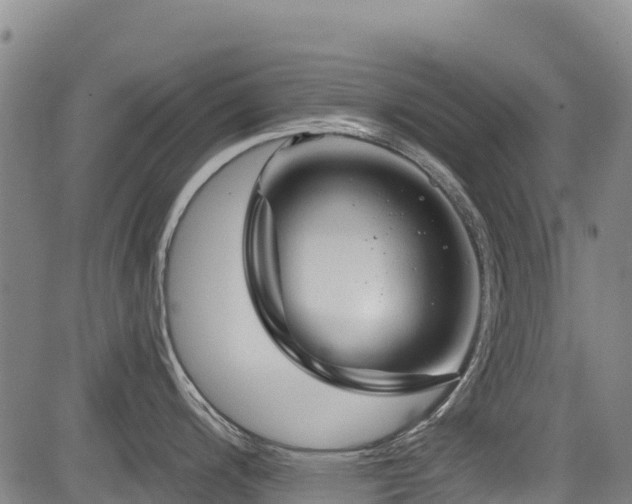 X0000084051200200702161459