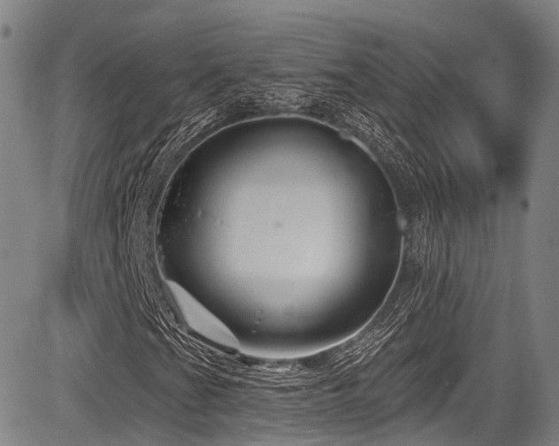 X0000084051201200702161458