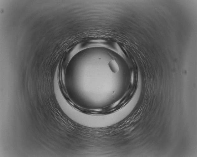 X0000084051202200702161458