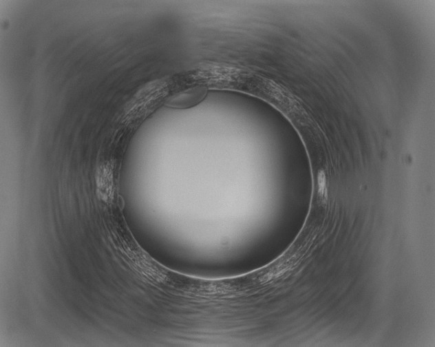 X0000084051203200702161458