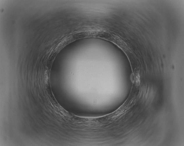 X0000084051204200702161458