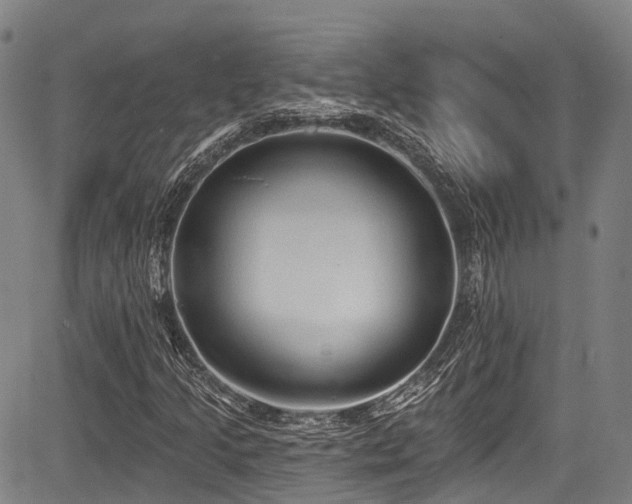 X0000084051205200702161458