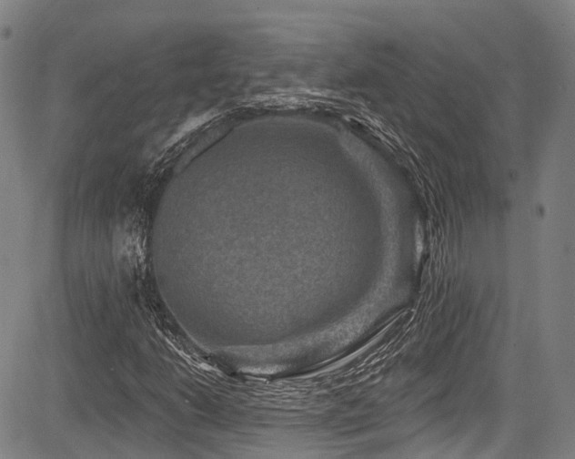 X0000084051206200702161458