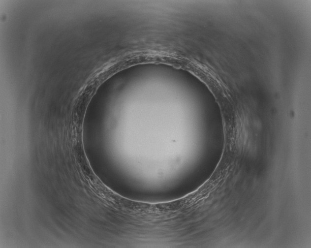 X0000084051207200702161458