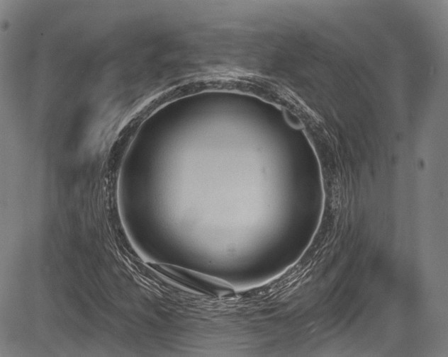 X0000084051208200702161458