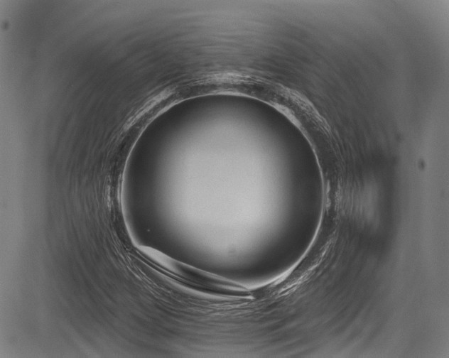 X0000084051209200702161458