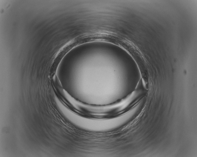 X0000084051210200702161458