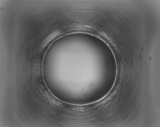 X0000084051211200702161458