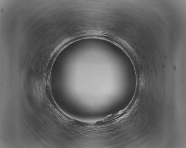 X0000084051212200702161458