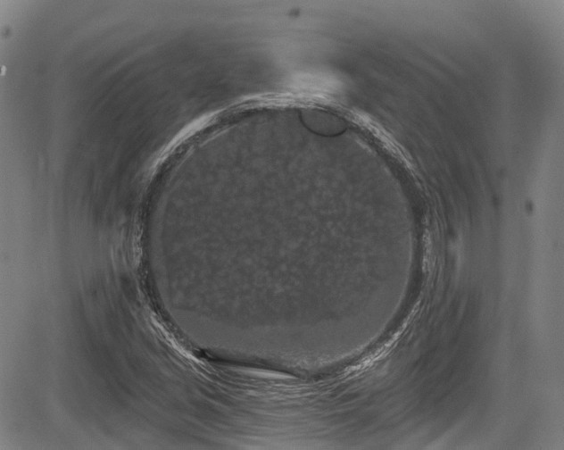 X0000084051213200702161458