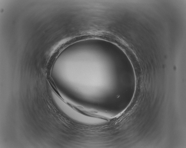 X0000084051214200702161458