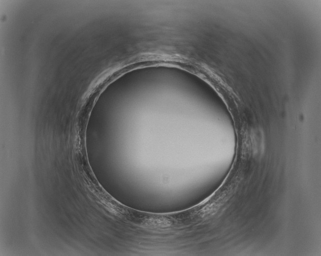 X0000084051215200702161458